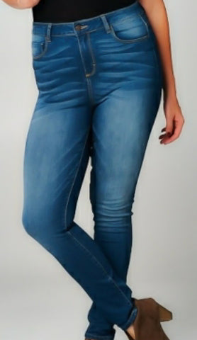 Plus Front Rise Skinny Jeans - DESEO